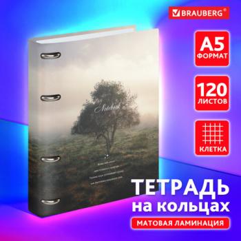 Тетрадь на кольцах А5 160х212мм, 120л, картон,матовая ламинация, клетка, BRAUBERG, Relax, 404728 - Премиум Сервис