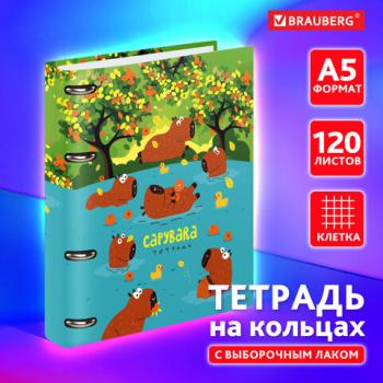 Тетрадь на кольцах А5 160х212мм, 120л, картон, выборочный лак, клетка, BRAUBERG, Elements, 404731 - Премиум Сервис