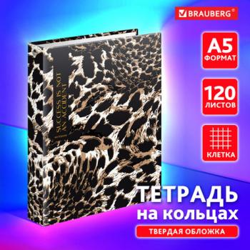 Тетрадь на кольцах А5 175х215мм, 120л, твердый картон, клетка, BRAUBERG, Cloudy, 404712 - Премиум Сервис