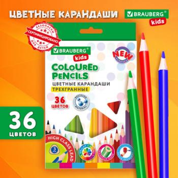 Карандаши цветные BRAUBERG KIDS NEW, 36 цветов, трехгранный корпус, грифель 3 мм, 182003 - Премиум Сервис