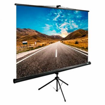 Экран Cactus TriExpert CS-PSTE-160x160-BK, 160x160 см, 1:1, напольный, черный - Премиум Сервис