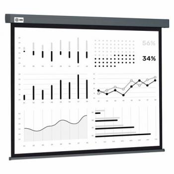 Экран Cactus Wallscreen CS-PSW-180X180-SG, 180x180 см, 1:1, настенно-потолочный, серый - Премиум Сервис