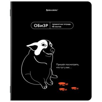 Тетрадь предметная МЕМЫ 48 л., TWIN-лак, ОБиЗР, клетка, подсказ, BRAUBERG, 405108 - Премиум Сервис