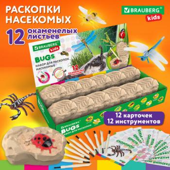 Набор для раскопок "Насекомые", 12 видов, карточки, инструменты, BRAUBERG KIDS, 665127 - Премиум Сервис