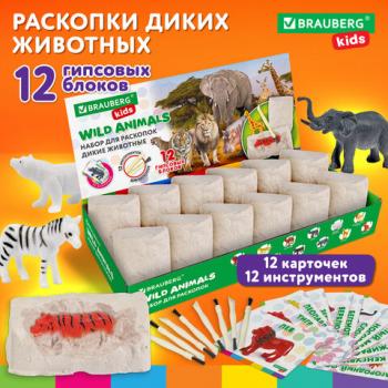 РЕЗЕРВ Набор для раскопок 3 - Премиум Сервис