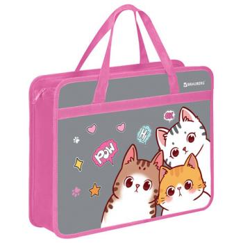 Папка на молнии с ручками BRAUBERG А4, 1 отделение, пластик, 80 мм, Hi there, 273370 - Премиум Сервис