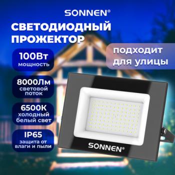 Прожектор светодиодный 100Вт, 6500К, 8000Лм, IP65, 250x178x27мм, черный, SONNEN, 238415 - Премиум Сервис