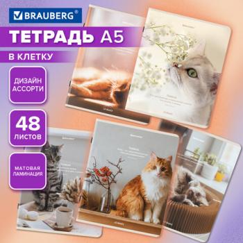 Тетрадь А5, 48 л., BRAUBERG, скоба, клетка, матовая ламинация, Cats, (микс в спайке), 405334 - Премиум Сервис