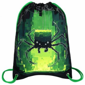 Мешок для обуви BRAUBERG PREMIUM, карман, подкладка, светоотражайка, 43х33 см, Digital spider, 273444 - Премиум Сервис