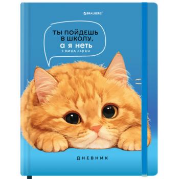 Дневник 1-11 класс 48л, твердый, BRAUBERG, матовая ламинация, резинка, закладка-ляссе, с подсказом, Котик, 107239 - Премиум Сервис