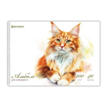 Альбом для акварели А4 40л., бумага 200 г/м, гребень, твердая подложка, BRAUBERG, Дизайн 2, 116884 - Премиум Сервис