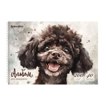 Альбом для акварели А4 40л., бумага 200 г/м, гребень, твердая подложка, BRAUBERG, Дизайн 1, 116885 - Премиум Сервис