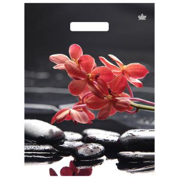 Пакет с вырубной ручкой ПВД ламинированный, 40х31см, "Гармония", 60мкм, ШК9825, н00268708 - Премиум Сервис