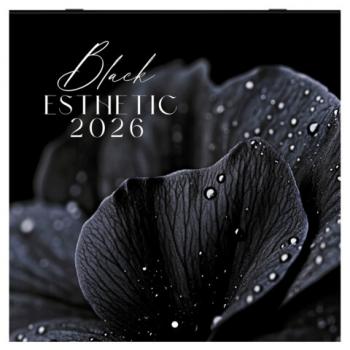 Календарь настенный перекидной 2026г, BRAUBERG, 12 листов, 28,5х28,5см, Black esthetic, 116927 - Премиум Сервис