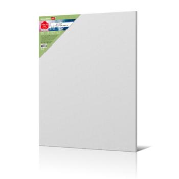 Холст на подрамнике BRAUBERG ART BASIC 40*50 см, 280 г/м2, хлопок, мелкое зерно, грунт, 192667 - Премиум Сервис