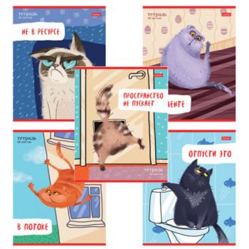 Тетрадь А5 48 л., HATBER скоба, линия, обложка картон, "Кот-обормот" (микс в спайке), 080206, 48Т5В2 - Премиум Сервис