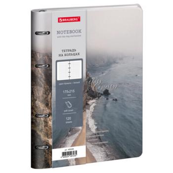 Тетрадь на кольцах А5 180х220, 120л, под кожу, BRAUBERG VISTA, Esthetics, 405208 - Премиум Сервис