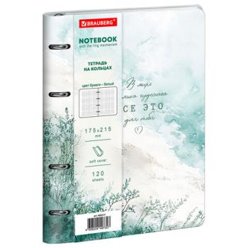 Тетрадь на кольцах А5 180х220, 120л, под кожу, фольга, резинка, BRAUBERG CLASSIC, Art of eye, 405217 - Премиум Сервис