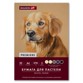 Бумага для пастели ФАКТУРНАЯ А4 в папке, 20 листов 5 цветов, 270 г/м2, BRAUBERG ART,, 117755 - Премиум Сервис