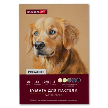 Бумага для пастели ФАКТУРНАЯ А3 в папке, 20 листов 5 цветов, 270 г/м2, BRAUBERG ART,, 117756 - Премиум Сервис