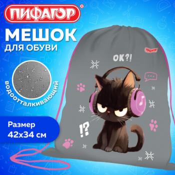 Мешок для обуви ПИФАГОР, 1 отделение, 42х34 см, "Ruffled kitten", 274631 - Премиум Сервис
