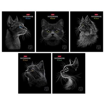 Тетрадь А5, 48 л., HATBER, скоба, клетка, матовая ламинация, 3D-лак, "Black Cat" (микс в спайке), 093159, 48Т5лолВ1 - Премиум Сервис