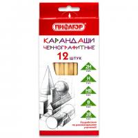 Карандаши чернографитные чертежные школьные разной твердости НАБОР 12 штук 2H-2B, ПИФАГОР, 181883 - Премиум Сервис