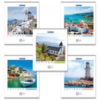 Тетрадь А5, 96 л., BRAUBERG, клетка, обложка картон, КАНИКУЛЫ, 401847 - Премиум Сервис