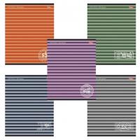 Тетрадь А5, 96 л., HATBER, скоба, линия, обложка картон, "ПОЛОСОЧКИ" (5 видов), 96Т5B2, T150306 - Премиум Сервис