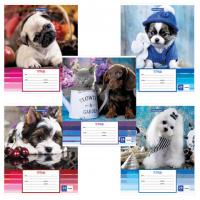 Тетрадь 24 л. BRAUBERG линия, обложка картон, "ЗАБАВНЫЕ ЩЕНКИ", 403585 - Премиум Сервис