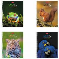 Тетрадь А5, 80 л., HATBER гребень, клетка, обложка картон, "ЗОО_мир" (4 вида в спайке), 80Т5В1гр - Премиум Сервис