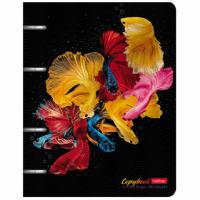 Тетрадь на кольцах А5 166х220 мм, 80 л., металлизированный картон, клетка, HATBER, "Экспрессия", 80ТК5мтлВ1, 80ТК5мтлВ1_2570 - Премиум Сервис