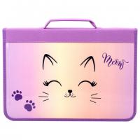 Папка для труда на молнии BRAUBERG А4 с ручкой, 1 отделение, органайзер, "Cheerful", 271448 - Премиум Сервис