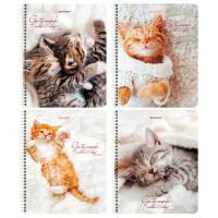 Тетрадь А5, 96 л., BRAUBERG, гребень, клетка, "Котики", 404425 - Премиум Сервис