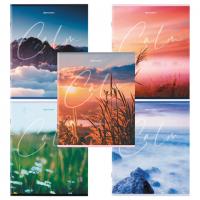 Тетрадь А5 96 л. BRAUBERG скоба, клетка, "Calm", 404435 - Премиум Сервис