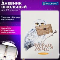 Дневник 1-11 класс 48л, кожзам (твердая), печать, цветной блок, BRAUBERG, Сова, 106952 - Премиум Сервис