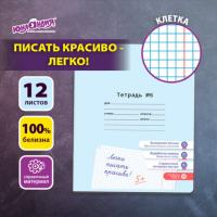 Тетрадь УЧУСЬ ПИСАТЬ №6 12 л. клетка, со справочным материалом, обложка картон, ЮНЛАНДИЯ, 404849 - Премиум Сервис