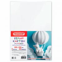 Картон белый А4 немелованный, 5 листов, ПИФАГОР, 200х290 мм, 116627 - Премиум Сервис