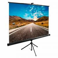 Экран Cactus TriExpert CS-PSTE-160x160-BK, 160x160 см, 1:1, напольный, черный - Премиум Сервис