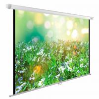 Экран Cactus WallExpert CS-PSWE-200x200-WT, 200x200 см, 1:1, настенно-потолочный, белый - Премиум Сервис
