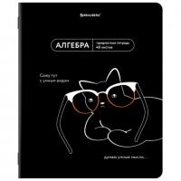 Тетрадь предметная МЕМЫ 48 л., TWIN-лак, АЛГЕБРА, клетка, подсказ, BRAUBERG, 405096 - Премиум Сервис
