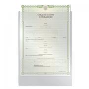 Папка-файл для свидетельства о рождении, 190х263 мм, без отверстий, ПВХ 120 мкм, "ДПС", 1746 - Премиум Сервис