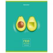 Тетрадь предметная "AVOCADO" 48 л., глянцевый лак, ГЕОМЕТРИЯ, клетка, BRAUBERG, 404278 - Премиум Сервис