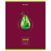 Тетрадь предметная "AVOCADO" 48 л., глянцевый лак, ИНФОРМАТИКА, клетка, BRAUBERG, 404279 - Премиум Сервис