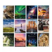 Тетради предметные, КОМПЛЕКТ 12 ПРЕДМЕТОВ, КЛАССИКА NEW, 48 л., обложка картон, BRAUBERG, 404322 - Премиум Сервис