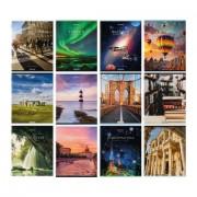 Тетради предметные, КОМПЛЕКТ 12 ПРЕДМЕТОВ, КЛАССИКА NEW, 48 л., обложка картон, BRAUBERG, 404322 - Премиум Сервис