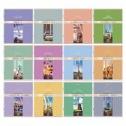 Тетради предметные, КОМПЛЕКТ 12 ПРЕДМЕТОВ, "DELIGHT", 48 л., обложка картон, BRAUBERG, 404606 - Премиум Сервис