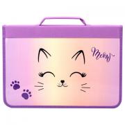 Папка для труда на молнии BRAUBERG А4 с ручкой, 1 отделение, органайзер, "Cheerful", 271448 - Премиум Сервис