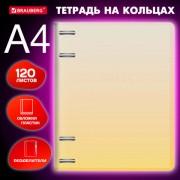 Тетрадь на кольцах БОЛЬШАЯ 305х230мм А4, 120л, пластик, с разделителями, BRAUBERG, Желтый, 404624 - Премиум Сервис