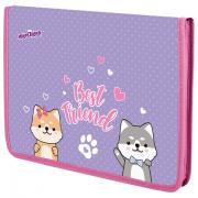 Папка для труда на молнии ЮНЛАНДИЯ А4, 1 отделение, откидная планка, органайзер, Best fellows, 273392 - Премиум Сервис